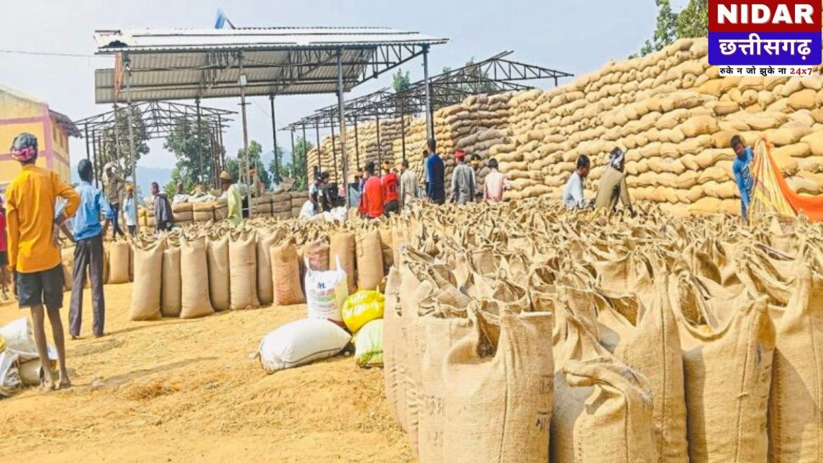 Chhattisgarh Paddy Scam: सूरजपुर में 3000 बोरी धान 'गायब', 40 लाख का घोटाला! क्या अधिकारियों ने साध ली चुप्पी?