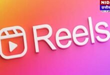 Chhattisgarh DEO official order copy on social media ban for govt employees.