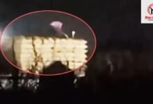 CG Dhan Kharidi Scam: धान का वजन बढ़ाने के लिए बोरियों पर डाला पानी, Video Viral होते ही 4 कर्मचारी बर्खास्त!