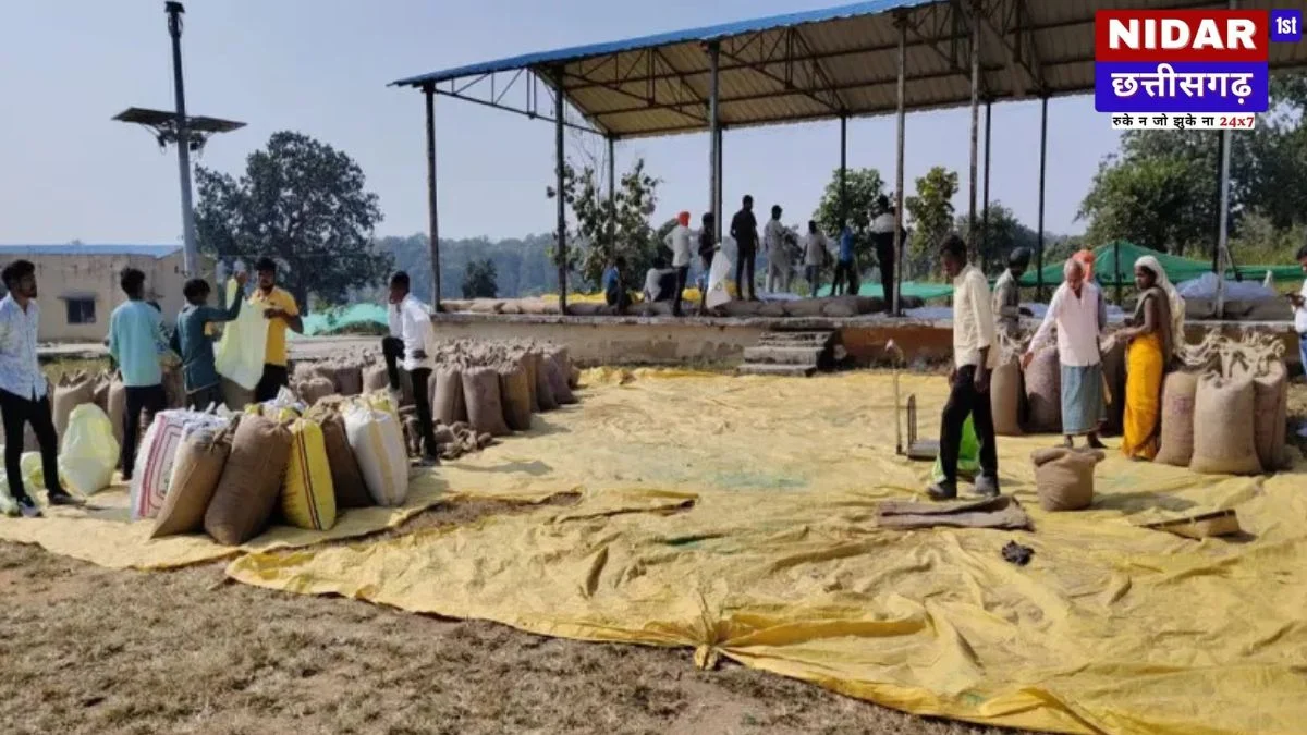 CG Paddy Procurement: धान उठाव में भारी सुस्ती और लक्ष्य से कम खरीदी! साय सरकार पर विपक्ष हमलावर, जानें क्या है पूरा मामला?