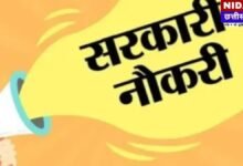 CG Govt Job: युवाओं के लिए खुशखबरी! 191 पदों पर सीधी भर्ती, बिना देरी किए ऐसे उठाएं मौके का फायदा