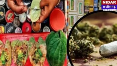 पान मसाला की आड़ में 'नशे का खेल'! पुलिस ने महिला तस्कर को दबोचा, भारी मात्रा में गांजा बरामद