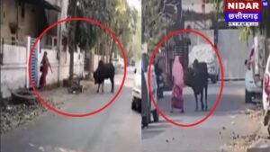 Raipur में सांड का आतंक! ‘Tiger Is Back’ वीडियो देख थम जाएंगी सांसें, बाल-बाल बचीं 2 महिलाएं