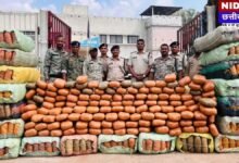 छत्तीसगढ़ पुलिस की बड़ी कार्रवाई: कवर्धा में 5 करोड़ का गांजा जब्त, राजस्थान जा रहा था नशे का ट्रक