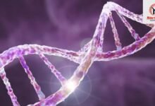 Longevity Secret: क्या आपके Genes तय करते हैं आपकी उम्र? नई Scientific Research में हुआ बड़ा खुलासा!