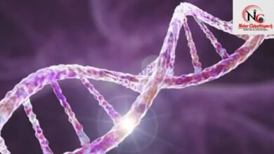 Longevity Secret: क्या आपके Genes तय करते हैं आपकी उम्र? नई Scientific Research में हुआ बड़ा खुलासा!