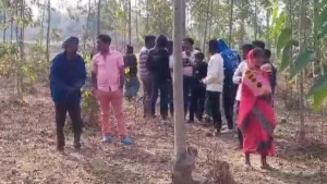 Chhattisgarh News: पेंड्रा में Love Story का दर्दनाक अंत! शादी में देरी बनी वजह, प्रेमी जोड़े ने लगाया मौत को गले