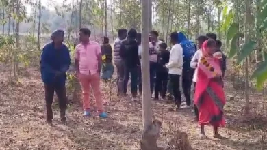 Chhattisgarh News: पेंड्रा में Love Story का दर्दनाक अंत! शादी में देरी बनी वजह, प्रेमी जोड़े ने लगाया मौत को गले