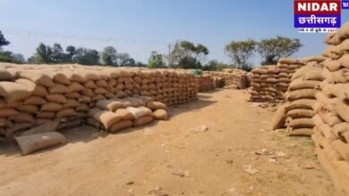 CG Paddy Procurement Crisis: छत्तीसगढ़ के केंद्रों में फंसा 49 लाख MT धान; मौसम की मार और 'सूखत' ने बढ़ाई सरकार की टेंशन!