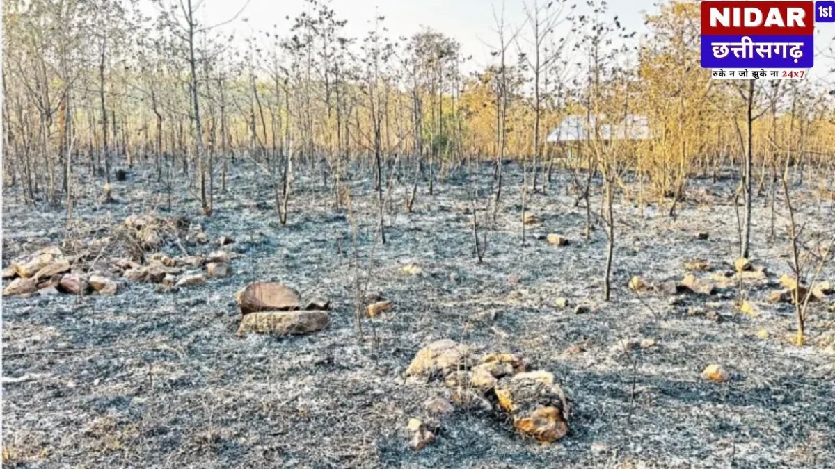 Bilaigarh Fire News: 42,000 Plants Burnt! Rail Corridor में भीषण आग से करोड़ों का नुकसान, Officials पर उठे सवाल