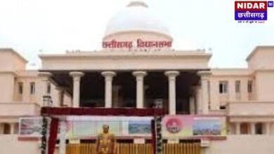 CG Politics Update: बलरामपुर में अफीम की खेती पर मचा सियासी गदर, Bhupesh Baghel ने मांगा सरकार से इस्तीफा!