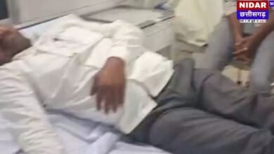 रामानुजगंज में मधुमक्खियों का हमला: अस्पताल के पास मची भगदड़, कांग्रेस नेता सहित 8 लोग अस्पताल में भर्ती