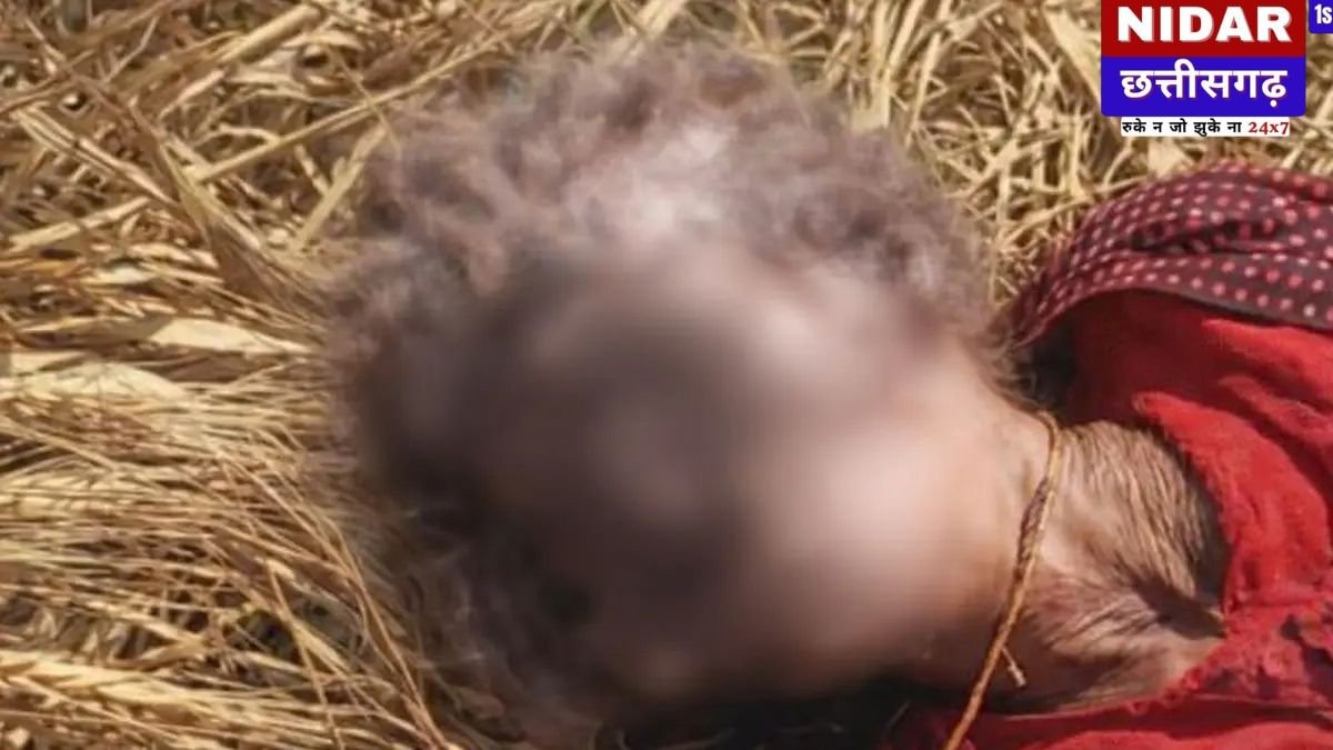 राजगढ़ में क्रूरता की हदें पार: बुजुर्ग महिला की जीभ और नाक काटी, लहूलुहान हालत में खेत में मिली वृद्धा