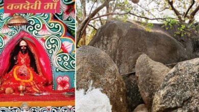 माँ वनदेवी: सरगुजा का वो दिव्य सिद्धपीठ, जहाँ 'पत्थर' चढ़ाने से चमक जाती है भक्तों की किस्मत