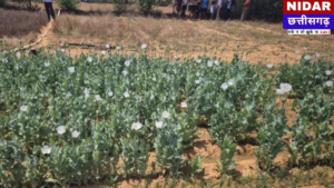 पुलिस का ‘ऑपरेशन आघात’: नशे के साम्राज्य पर सर्जिकल स्ट्राइक, 4.5 करोड़ का माल जब्त