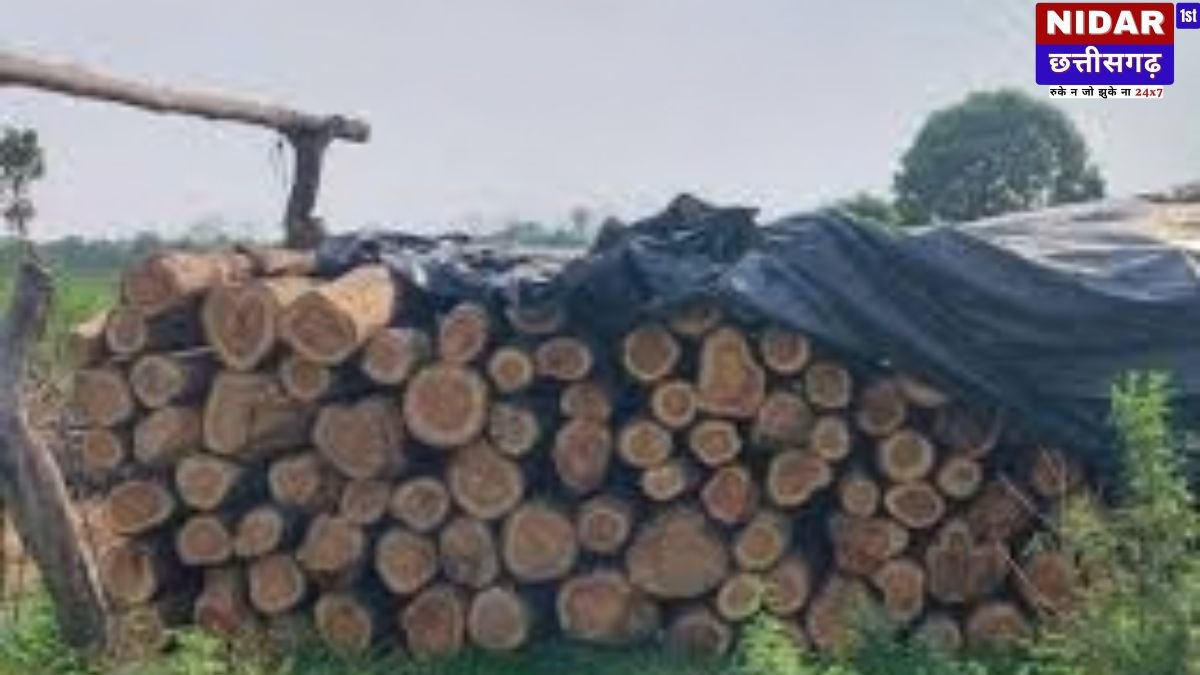 दुगोली इकोपार्क में रात के वक्त सागौन के पेड़ों पर चली कुल्हाड़ी, वन विभाग की कार्रवाई पर उठे सवाल