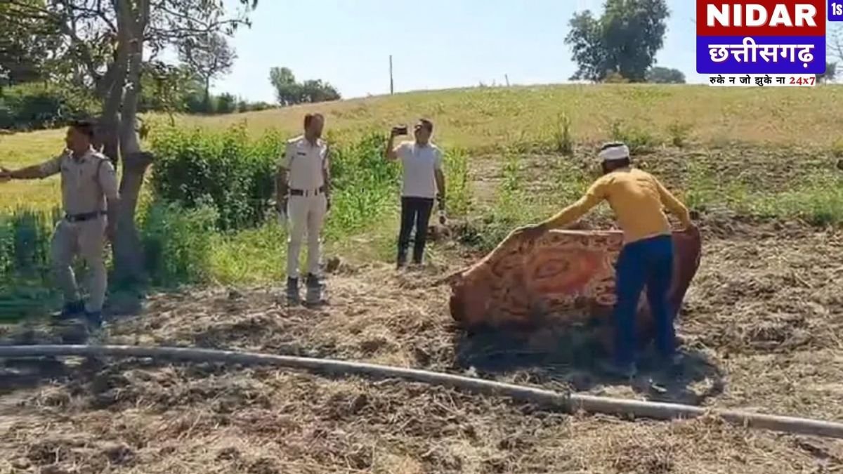 नरसिंहपुर: इंस्टाग्राम पर प्रेमिका को भेजा आखिरी मैसेज- "कहानी खत्म", फिर युवक ने खेत में खत्म कर ली अपनी जीवनलीला