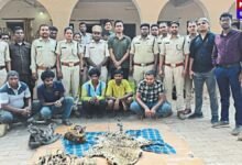 Kawardha Wildlife Crime News: तांत्रिक अनुष्ठानों के लिए तेंदुओं का अवैध शिकार! कवर्धा में 2 खालें और हड्डियां जब्त, 5 गिरफ्तार