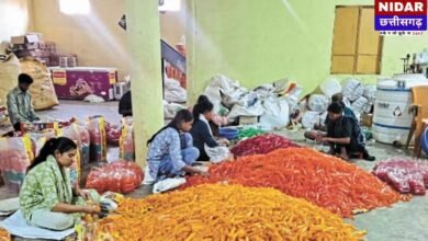 Jashpur News: जशपुर में खाद्य सुरक्षा विभाग का बड़ा एक्शन, 2000 किलो आईस कैण्डी जब्त; बच्चों की सेहत से हो रहा था खिलवाड़