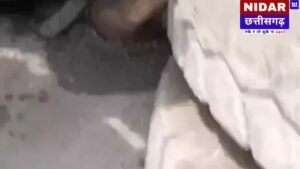 Korba Road Accident: कोरबा में मातम! 2 अलग-अलग हादसों में 4 युवकों की गई जान, चक्काजाम से थमी रफ्तार