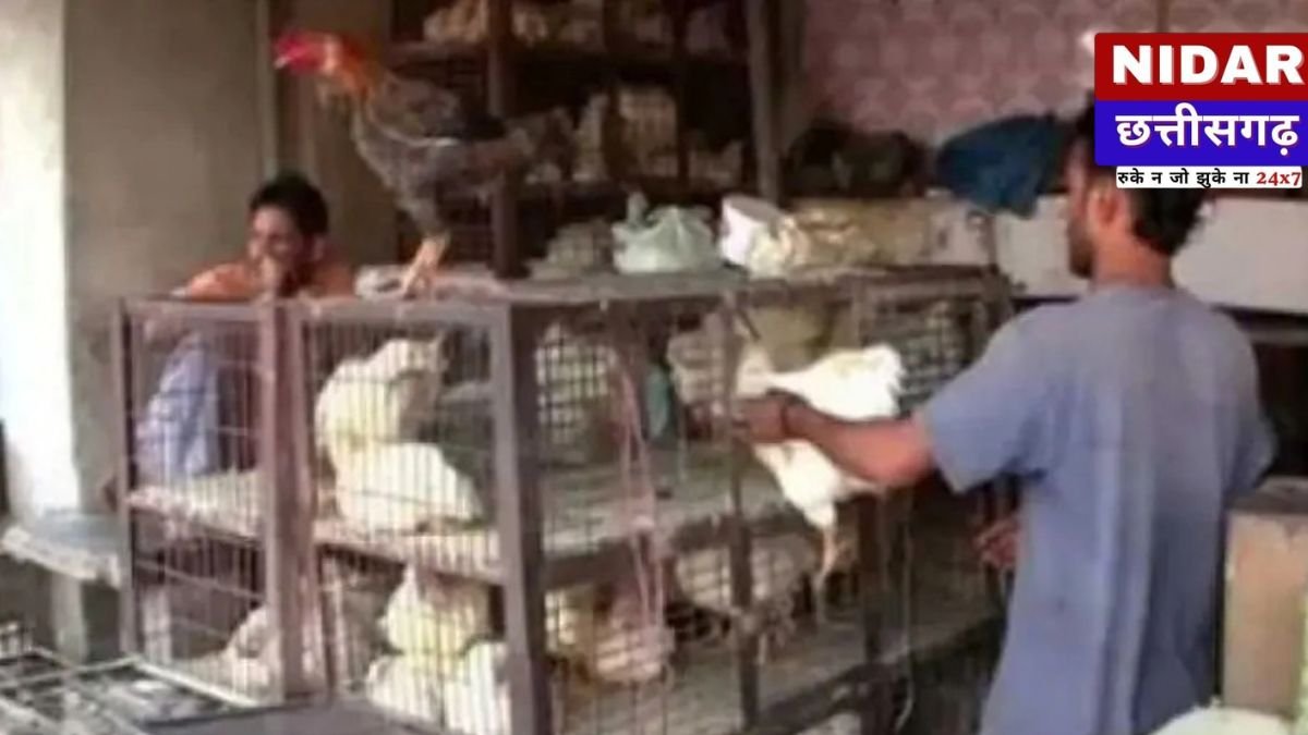 Raipur Meat Ban Alert: चेट्रीचंड, रामनवमी और महावीर जयंती पर मांस की बिक्री बंद, रायपुर नगर निगम ने जारी किया सख्त आदेश
