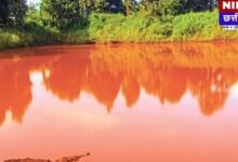 Balod: 2021 में Naxal-Free तो हो गया, पर 'Laal Paani' की समस्या से कब मिलेगी आजादी? जानिए Ground Reality