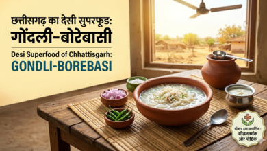 Beat the Heat with 'Borebasi': छत्तीसगढ़ का यह 'Desi Superfood' गर्मी में है वरदान, जानें Doctors की राय!