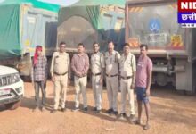 रायपुर में अवैध रेत माफिया पर नकेल: कलेक्टर के आदेश के बाद रात भर चली छापेमारी, 13 हाईवा गाड़ियां जब्त