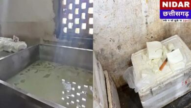 रायपुर में नकली पनीर का भंडाफोड़: खाद्य विभाग ने 1000 किलो 'एनालॉग पनीर' किया नष्ट, दो फैक्ट्रियों पर गिरी गाज