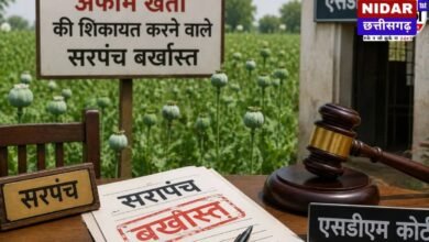 Opium Farming Case: अफीम की खेती की शिकायत पड़ी भारी? समोदा सरपंच अरुण गौतम बर्खास्त, कोर्ट ने रद्द किया निर्वाचन