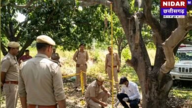 CG Crime: अकलतरा में सनसनी, कॉलेज के पास पेड़ पर लटका मिला युवक का शव; एक दिन पहले ही रायपुर से लौटा था घर