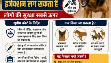 सुप्रीम कोर्ट का बड़ा फैसला: खतरनाक और रेबीज वाले आवारा कुत्तों को मौत का इंजेक्शन लग सकता है, लोगों की सुरक्षा सबसे ऊपर