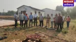 Chhattisgarh Forest Department Raid: जंगली सूअर के मांस की अवैध बिक्री पर वन विभाग की बड़ी कार्रवाई, रतनपुर में ग्रामीण पकड़ा गया
