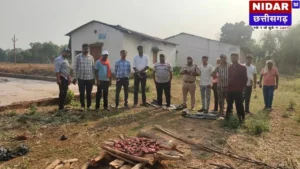 Chhattisgarh Forest Department Raid: जंगली सूअर के मांस की अवैध बिक्री पर वन विभाग की बड़ी कार्रवाई, रतनपुर में ग्रामीण पकड़ा गया