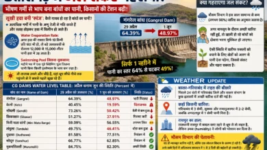 Chhattisgarh Water Crisis: भीषण गर्मी से भाप बना बांधों का पानी, Gangrel Dam केवल 49% पर अटका; किसानों की टेंशन बढ़ी!