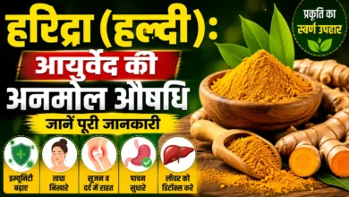 हरिद्रा (हल्दी): आयुर्वेद की अनमोल औषधि – जानें पूरी जानकारी