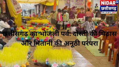 छत्तीसगढ़ का भोजली पर्व: दोस्ती की मिठास और मितानी की अनूठी परंपरा