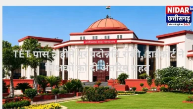 TET पास न होने पर पदोन्नति रोकी, हाईकोर्ट ने शिक्षकों को दी अंतरिम राहत