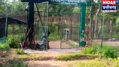 उदंती-सीतानदी टाइगर रिजर्व: 17 गांवों के स्वैच्छिक विस्थापन को लेकर प्रशासन सक्रिय, 45 दिन में आवेदन