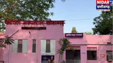 खेत में निंदाई के दौरान गिरी बिजली, मजदूर की मौत, 2 झुलसे