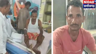 खेत में मधुमक्खियों का हमला, एक ही परिवार के 4 घायल