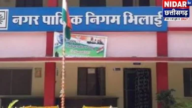 भिलाई निगम वार्ड आरक्षण 2026: दया सिंह समेत कई दिग्गजों की सीट पर लगा OBC का ठप्पा, महापौर पाल बचे