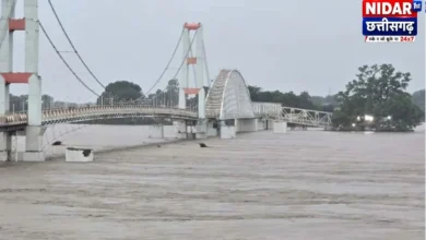 राजिम में महानदी उफान पर, कुलेश्वर मंदिर तक पहुंचा बाढ़ का पानी