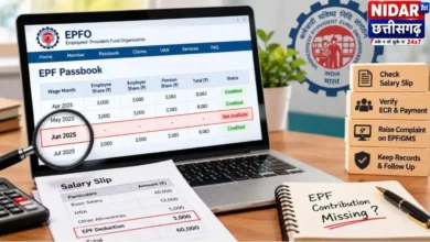 EPF पासबुक में PF का पैसा नहीं दिख रहा? पहले करें ये जांच, फिर शिकायत