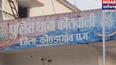 कोंडागांव में 48 घंटे में 8 मौतें: सड़क हादसे, सर्पदंश और तेंदुए का हमला