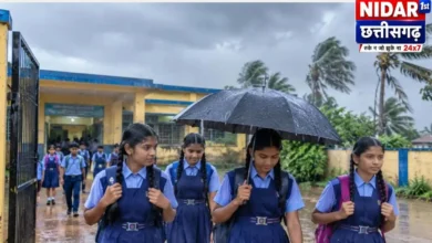 धमतरी में 28 अक्टूबर को स्कूल बंद, भारी बारिश की आशंका पर अवकाश