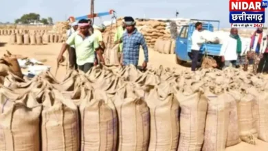 धान खरीदी के नए नियम: दो एकड़ तक 1, दस एकड़ तक 2 और उससे अधिक पर 3 टोकन; कम धान ले गए तो रकबा लैप्स