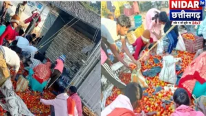 बलरामपुर में NH-343 पर टमाटर से भरी पिकअप पलटी, सड़क पर बिखरे टमाटर