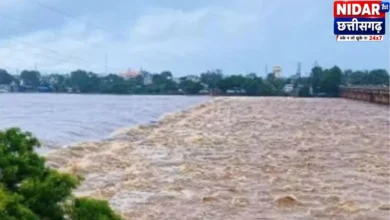 महानदी बेसिन पर 34 रिपोर्ट: छत्तीसगढ़ में भूजल दोहन 2004 के 30.6% से बढ़कर 55.6% पहुंचा