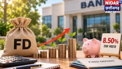 सीनियर सिटीजन FD: 5 साल पर 8.50% तक ब्याज, जानें किस बैंक में कितनी दर